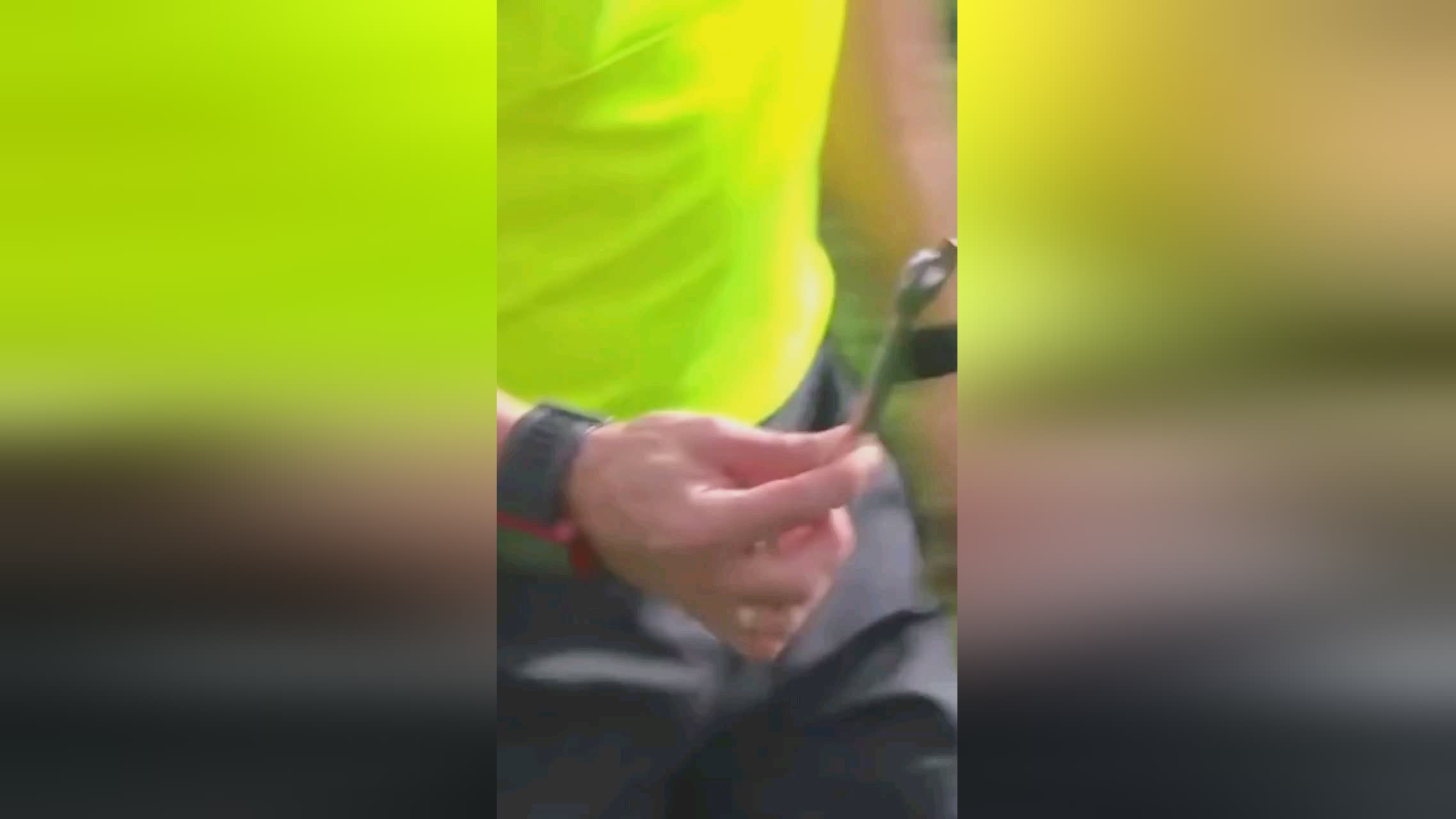 拜仁的胜率